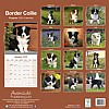 Border Collie Puppy Calendar
